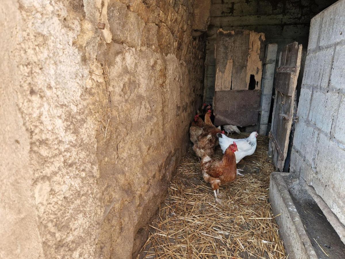 Holiday Home In The Countryside Near The Beach Guerlesquin エクステリア 写真